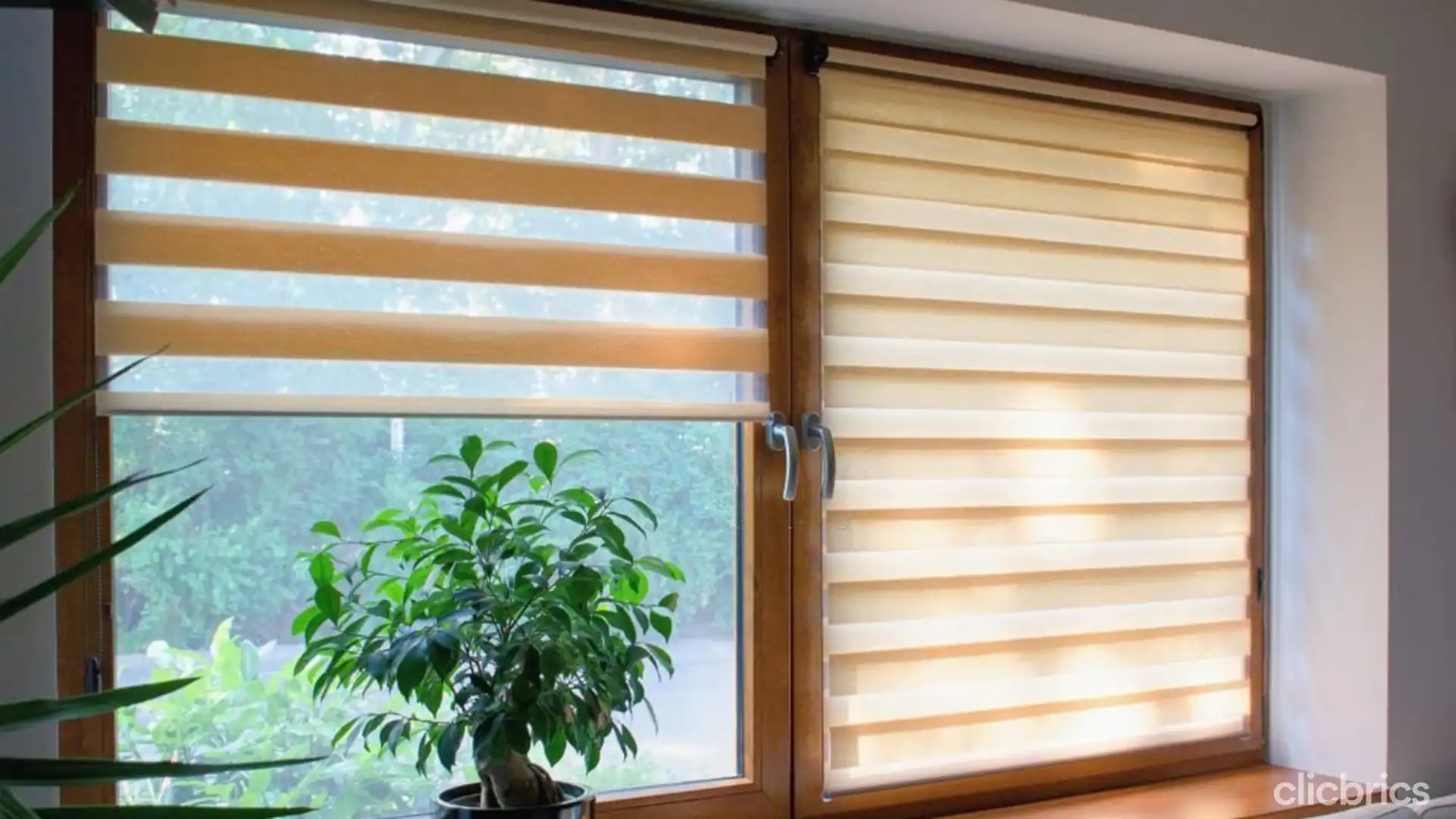 designer blinds for windows